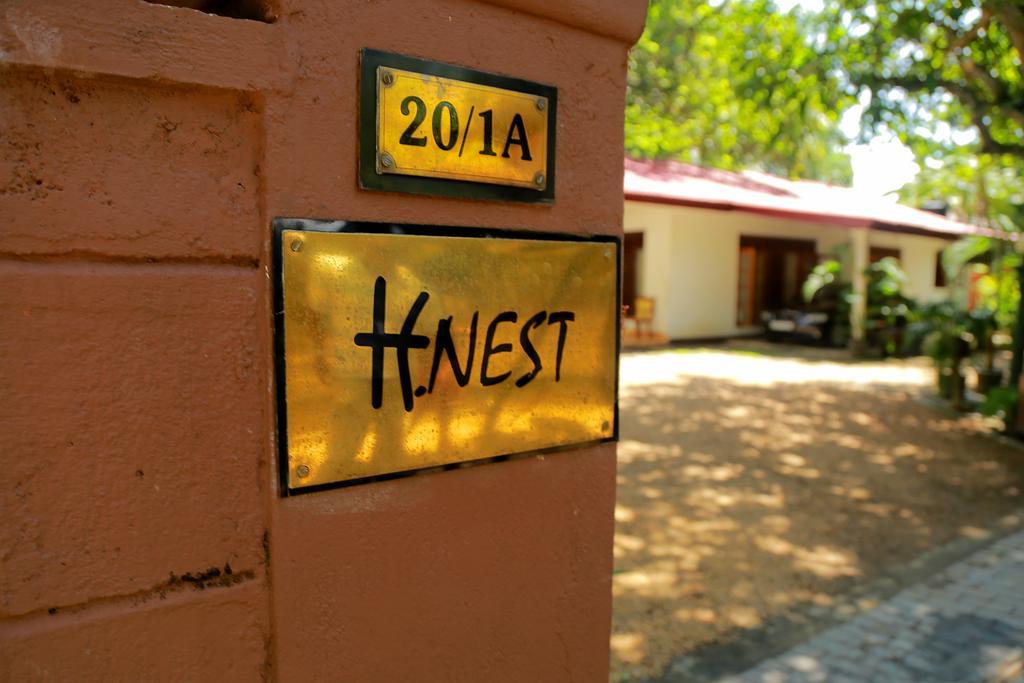 Holiday Nest Bed & Breakfast Wadduwa Eksteriør billede