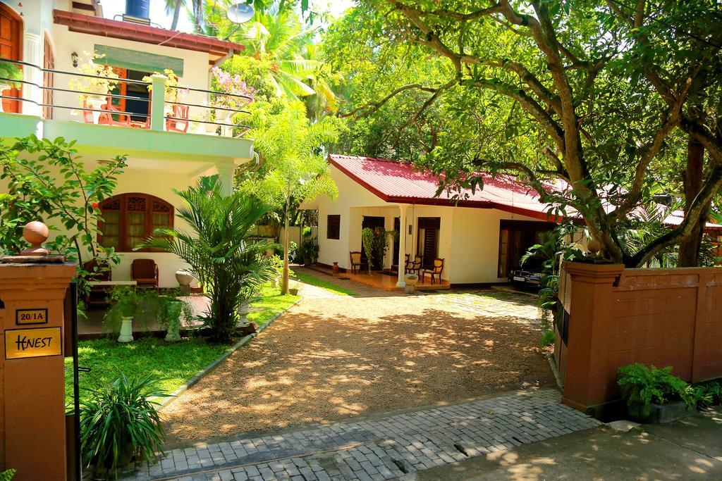Holiday Nest Bed & Breakfast Wadduwa Eksteriør billede